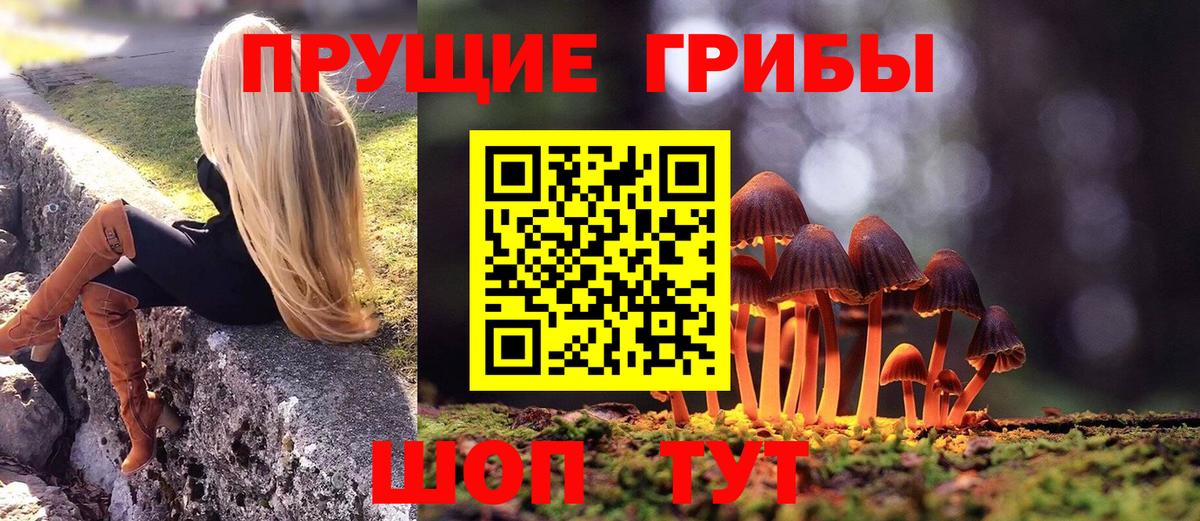 Саяногорск  как найти закладки  Вход с VPN  Псилоцибиновые грибы Psilocybine cubensis 