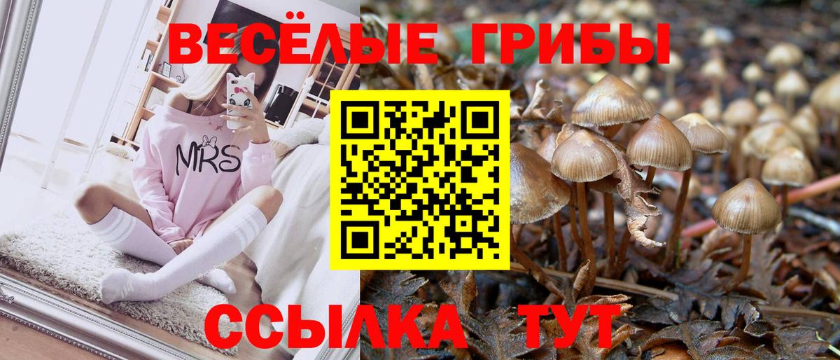 Бошки Шишки  ЭКСТАЗИ  МЕФ кристаллы  Alpha-PVP СОЛЬ   ГАШ  Саяногорск  МДМА  Вход с VPN 